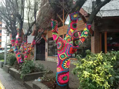 Sweaters trees